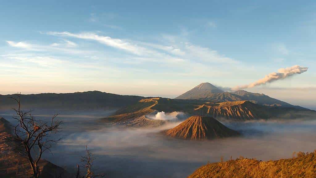 全网关于java最简单的介绍