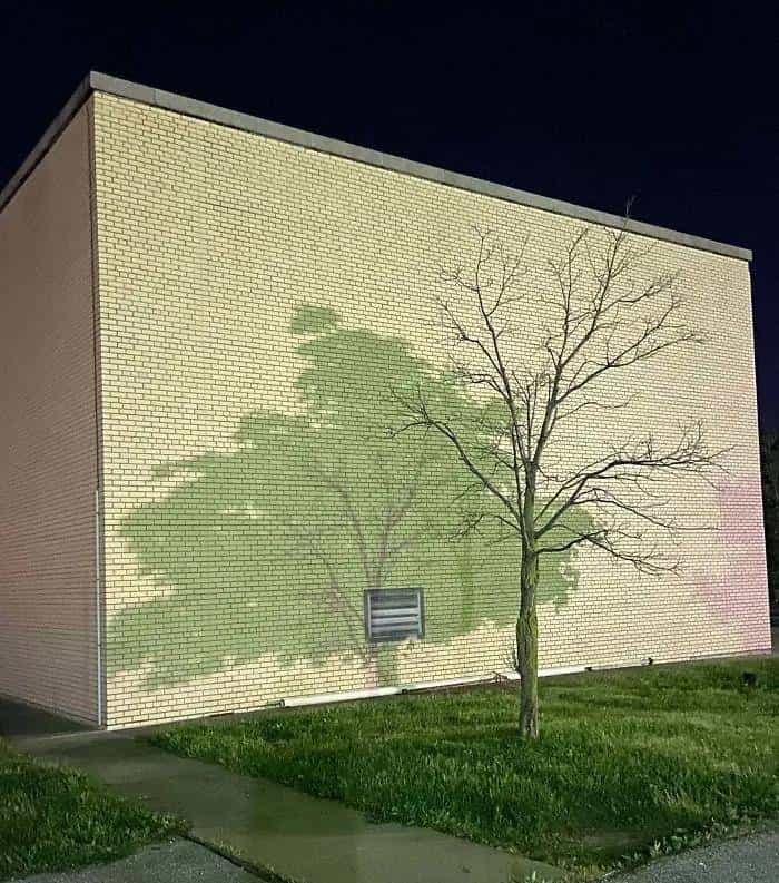 「双语」歪果仁带你看惊喜的大自然瞬间，有的你这辈子都看不到