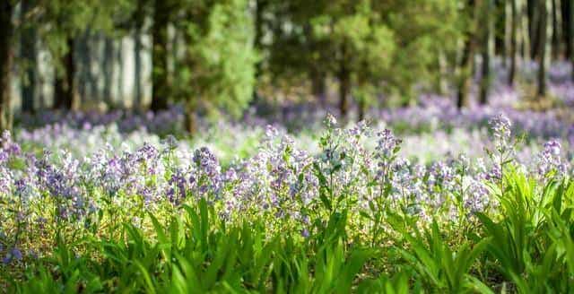 异性之间,有以下4个表现!就已经是“情人”关系了