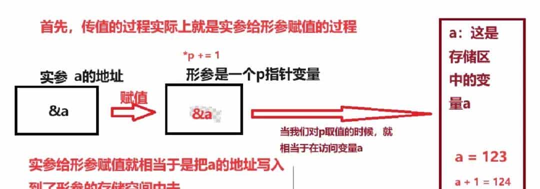 指针和数组:重点