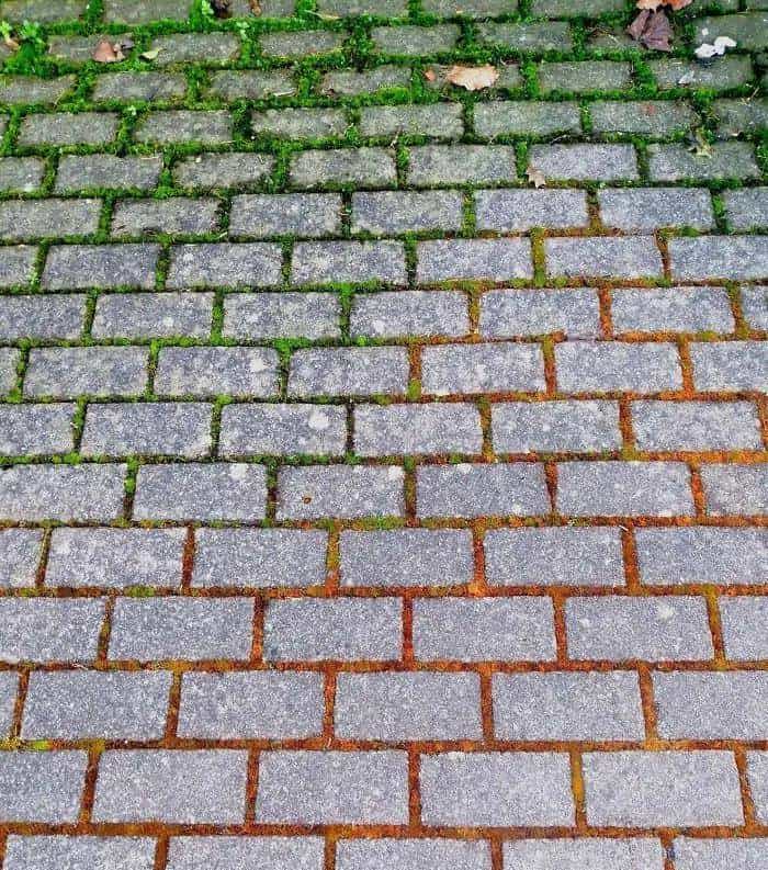 「双语」歪果仁带你看惊喜的大自然瞬间，有的你这辈子都看不到