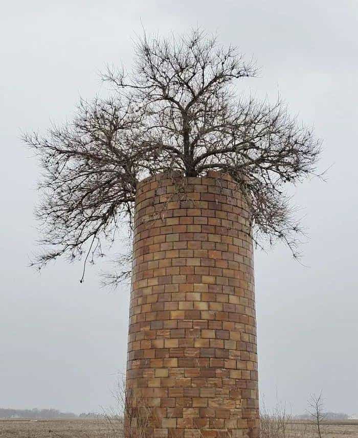 「双语」歪果仁带你看惊喜的大自然瞬间，有的你这辈子都看不到