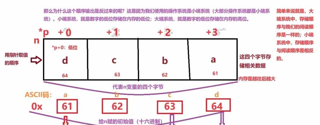 指针和数组:重点