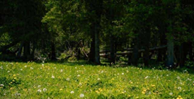 异性之间,有以下4个表现!就已经是“情人”关系了