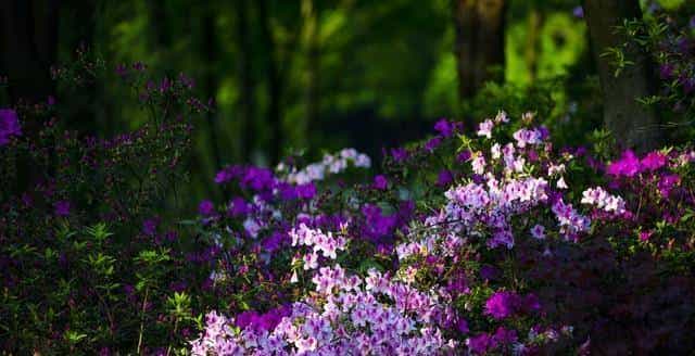 异性之间,有以下4个表现!就已经是“情人”关系了