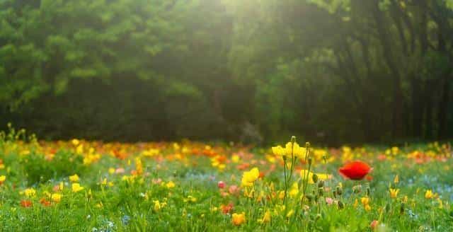 异性之间,有以下4个表现!就已经是“情人”关系了