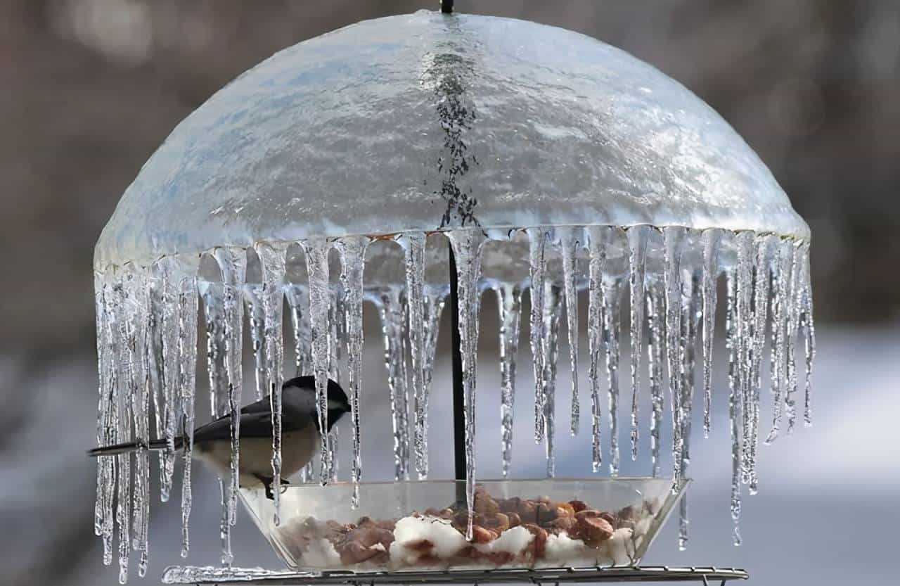 「双语」歪果仁带你看惊喜的大自然瞬间，有的你这辈子都看不到