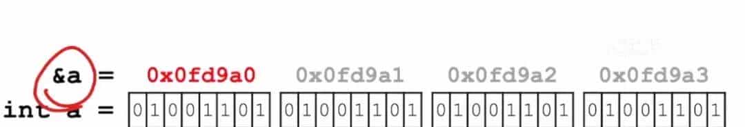 指针和数组:重点