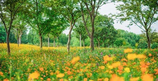 异性之间,有以下4个表现!就已经是“情人”关系了