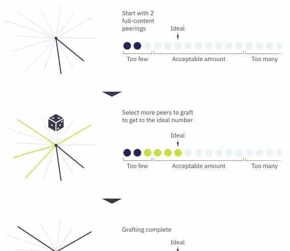 libp2p 概念和术语