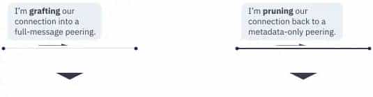 libp2p 概念和术语