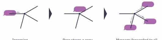 libp2p 概念和术语