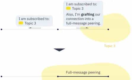 libp2p 概念和术语