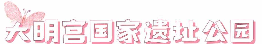 以草为名，比花更美！曲江三大秋日限定粉黛乱子草花海上线~