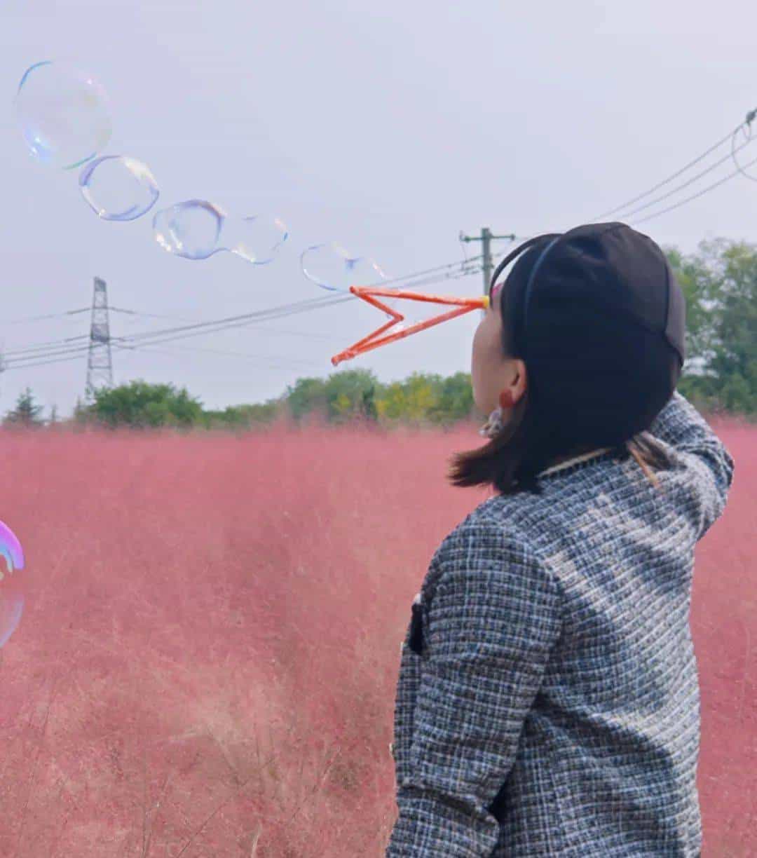 以草为名，比花更美！曲江三大秋日限定粉黛乱子草花海上线~