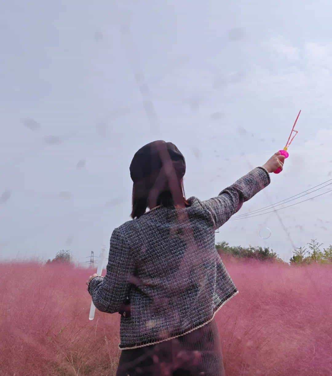 以草为名，比花更美！曲江三大秋日限定粉黛乱子草花海上线~