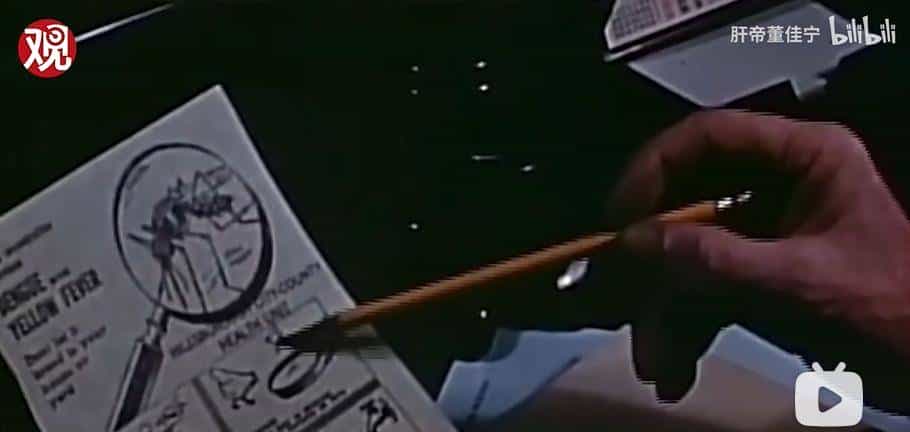 夏威夷火灾疑云背后的美式“黑逻辑”