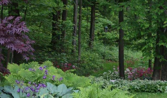 5种技巧，实现花园之中的低维护