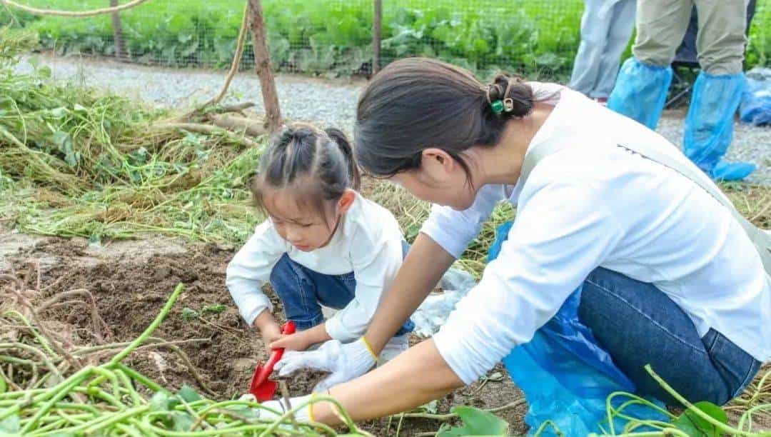 以草为名，比花更美！曲江三大秋日限定粉黛乱子草花海上线~