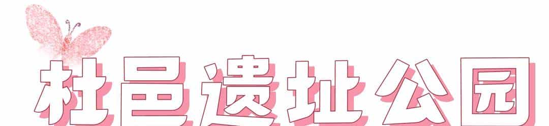 以草为名，比花更美！曲江三大秋日限定粉黛乱子草花海上线~