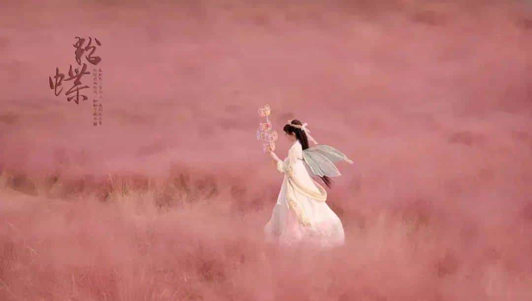 以草为名，比花更美！曲江三大秋日限定粉黛乱子草花海上线~