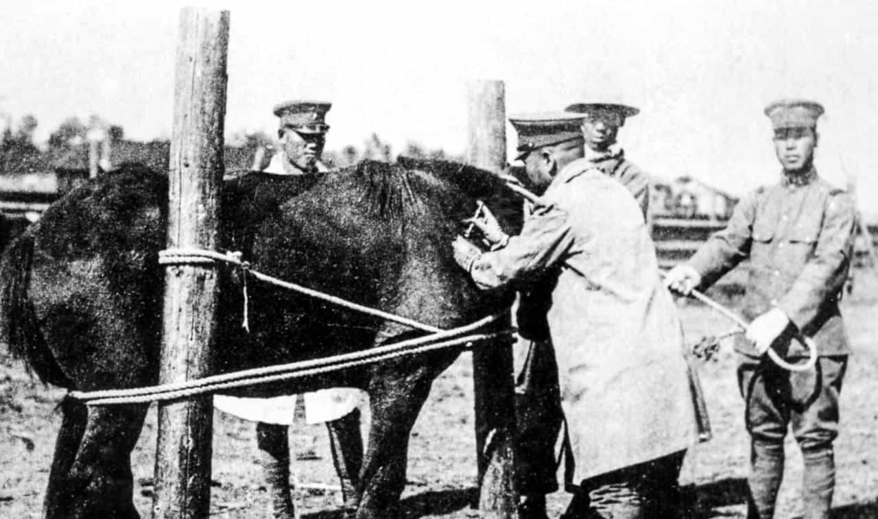 长春地下三米,日军埋下的"最终兵器"足以让整个亚洲陷入十年瘟疫