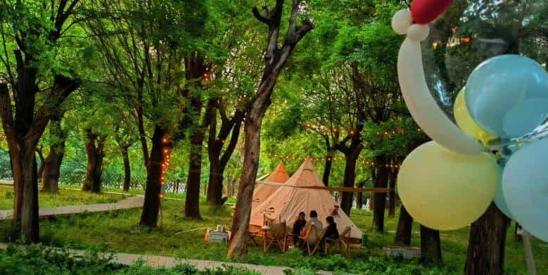 以草为名，比花更美！曲江三大秋日限定粉黛乱子草花海上线~