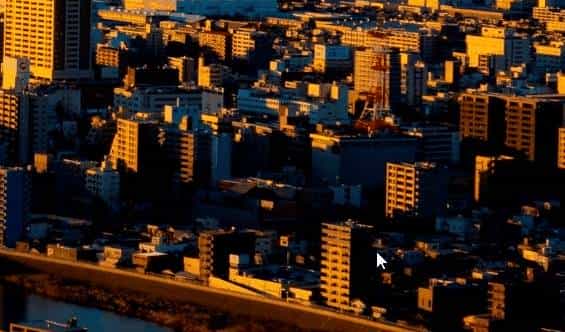 推荐一个基于 C# 开发的摸鱼背单词好帮手 ToastFish