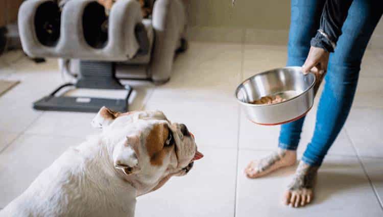 Inpaint Anything 修复图像、视频和3D 场景中的任何内容！开源!