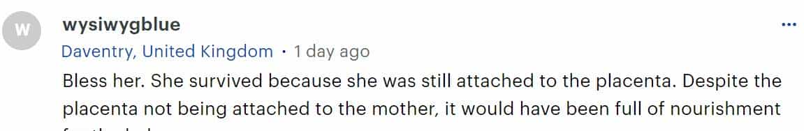 外国女婴刚出生就被母亲活埋，被埋了整整6小时，奇迹生还