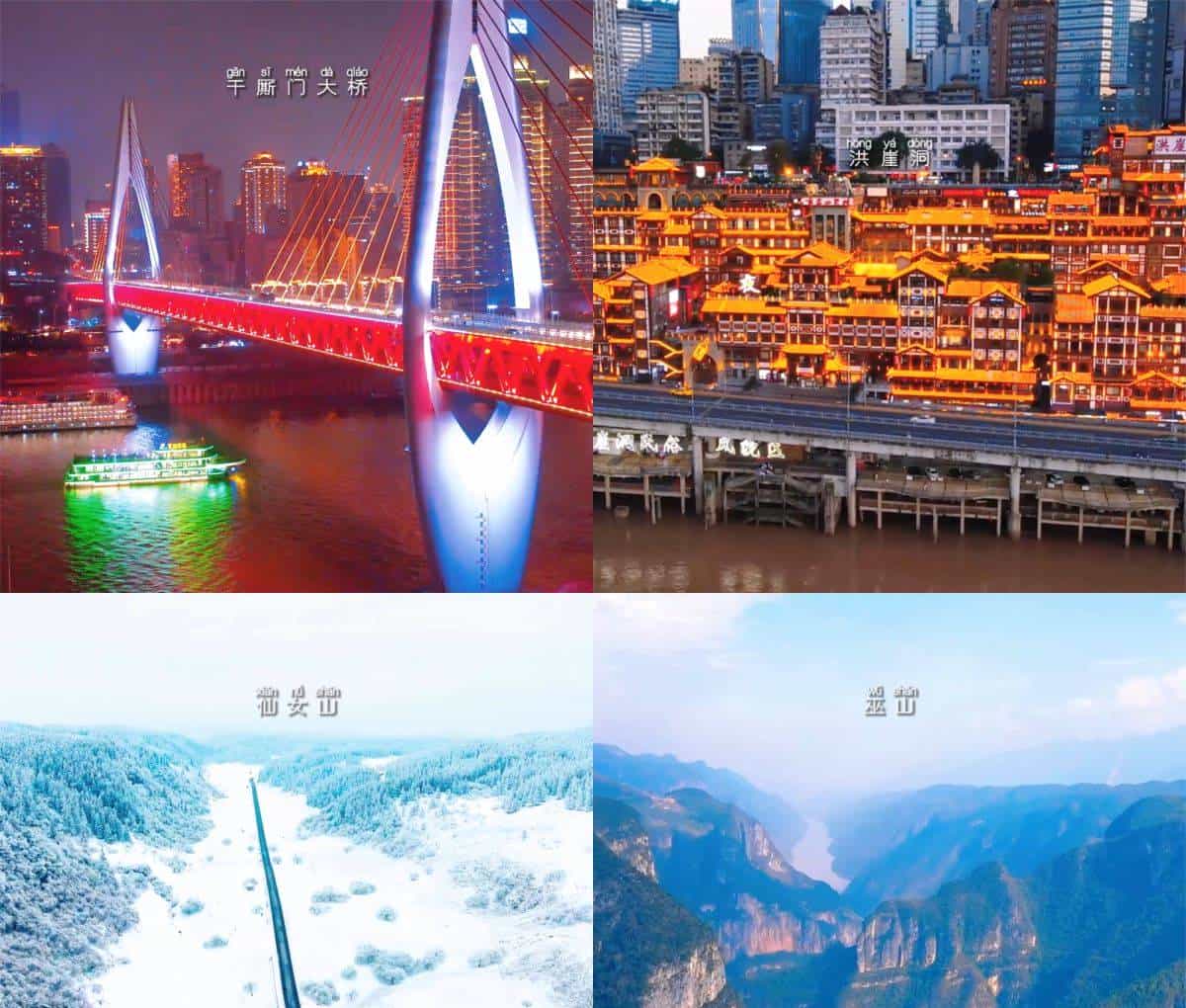 创业中华·华侨论坛 让更多海外人才“渝”见新梦想！