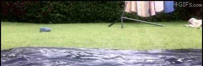 我保证这必定是所有程序员梦寐以求的公司