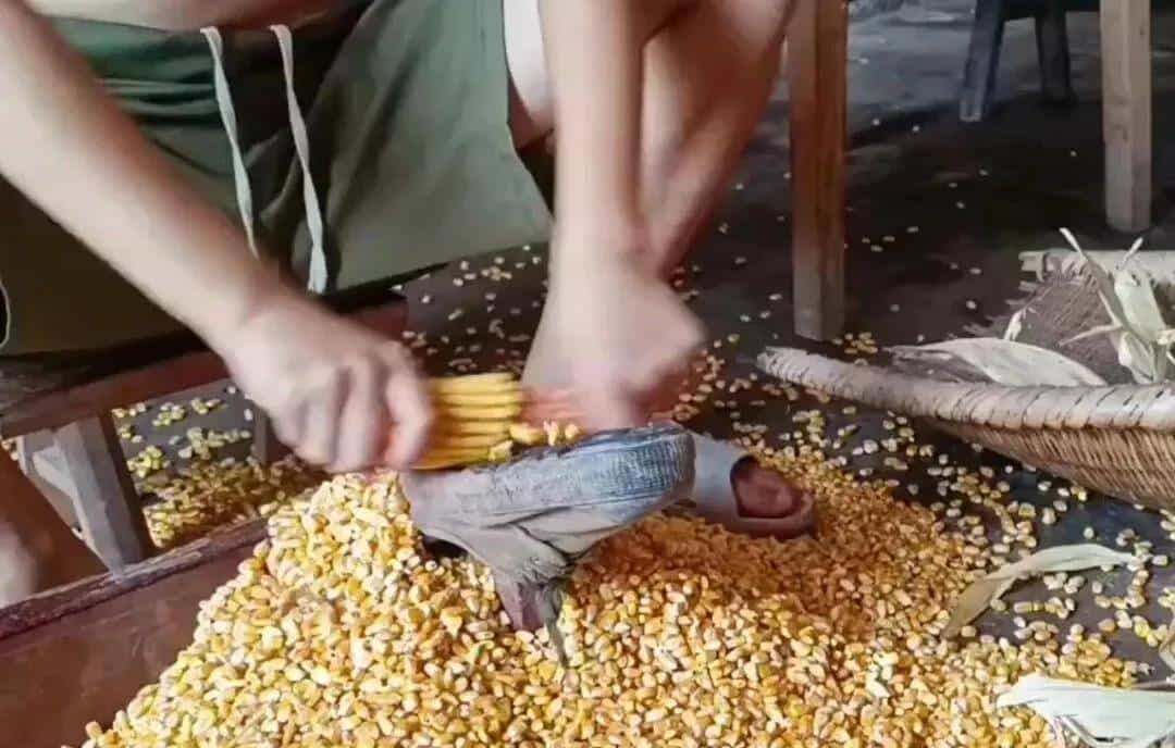 【陕西】吴清西：说解《说文解字》中的渭南方言词语（十五）