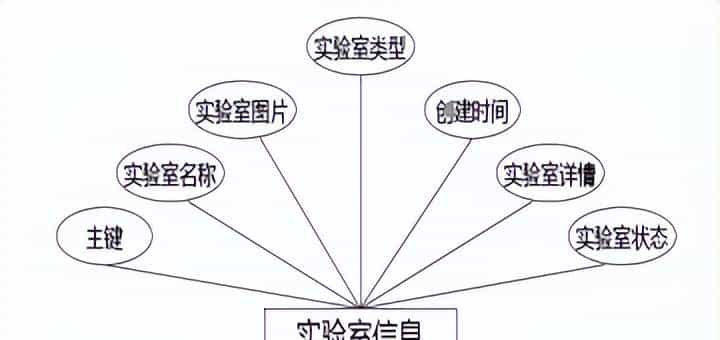 实验室预约管理+vue