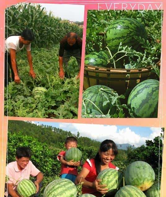 今日夏至，快跟随小武一起寻找“解暑神器”~~