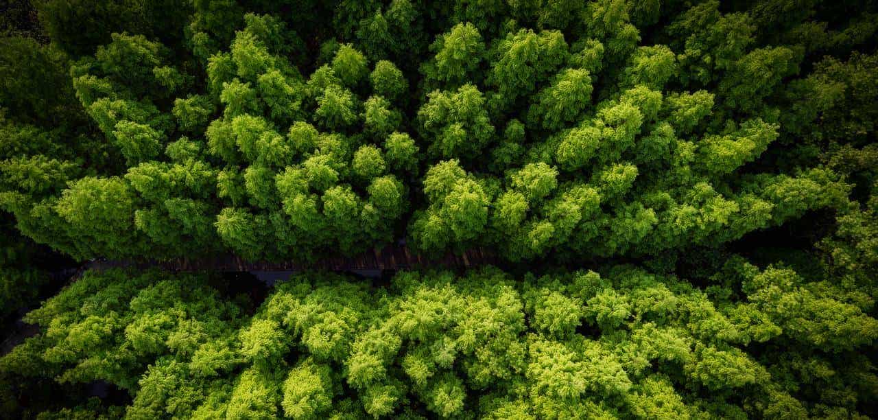 当我们在说网关时，到底在说什么