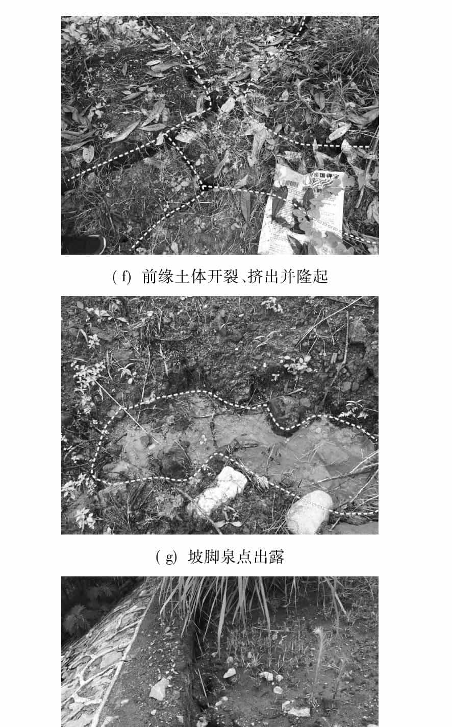 圆形截面抗滑桩在红层地区某高速公路滑坡抢险工程中的应用