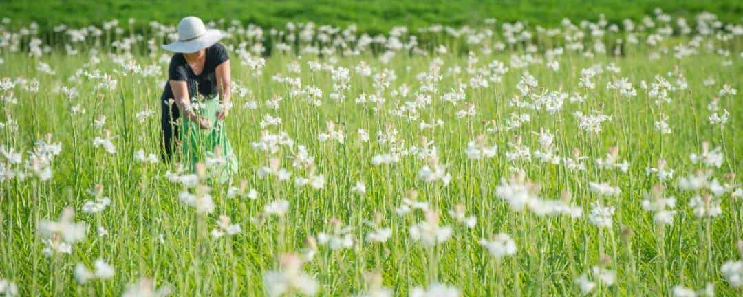 自律这个词，我一向不是很喜爱