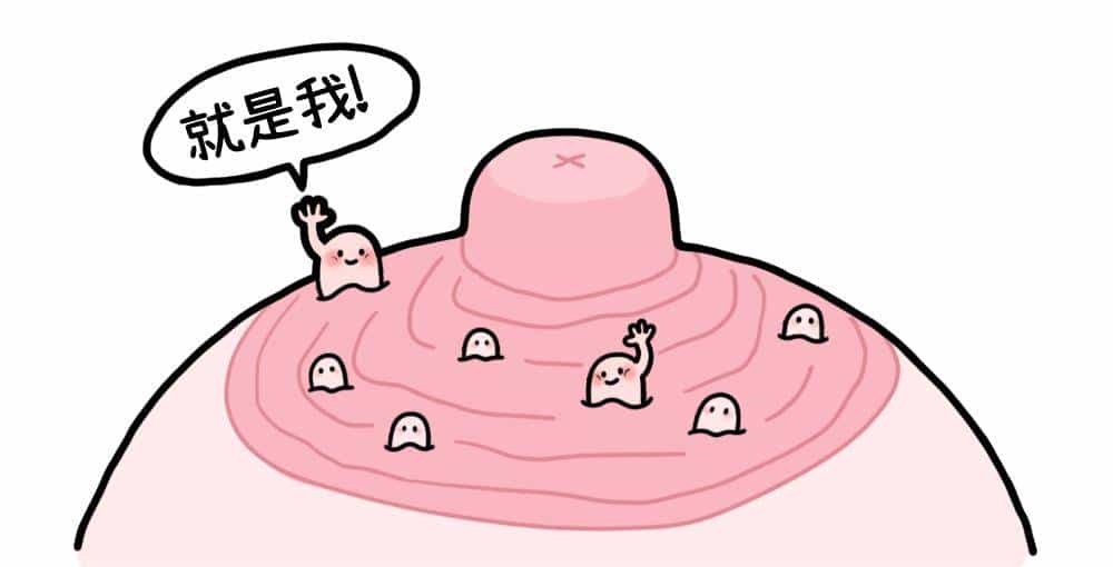 乳晕上的小颗粒,到底是啥啊?