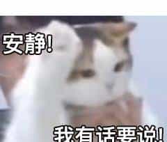 盘点8个简单易上手的前端低代码框架项目