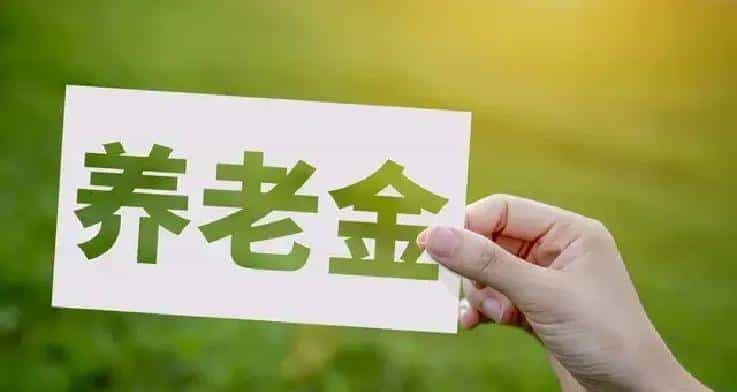 40年工龄仅领3386！河南老林晒养老金账单，差距真扎心