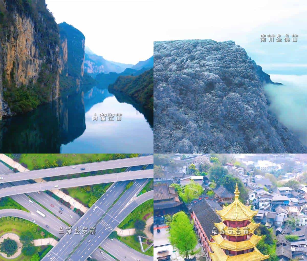 创业中华·华侨论坛 让更多海外人才“渝”见新梦想！