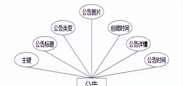 实验室预约管理+vue