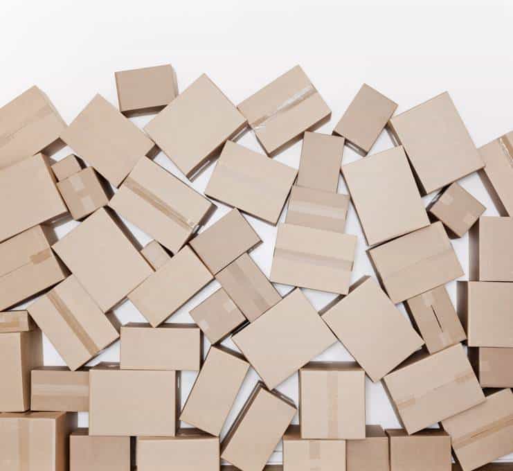 四级冲刺|Day 3全身扫描阅读君的初亮相