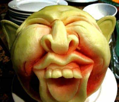 今日夏至，快跟随小武一起寻找“解暑神器”~~