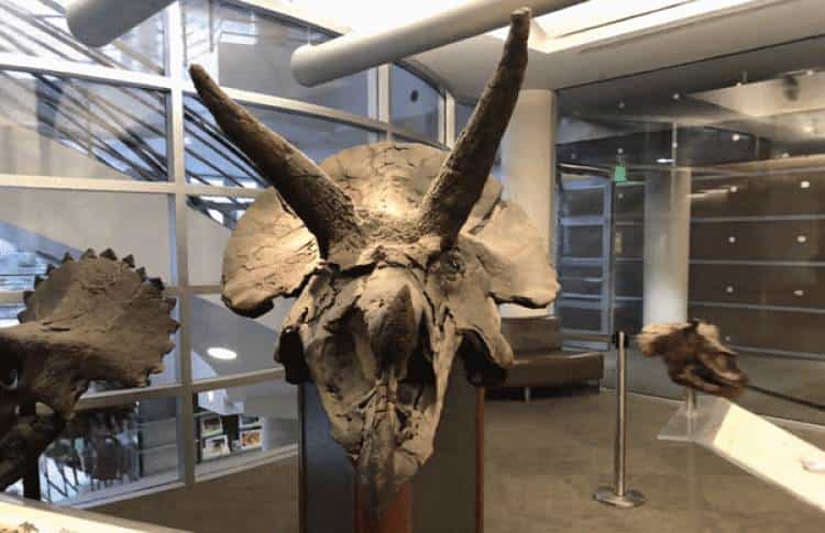 Inpaint Anything 修复图像、视频和3D 场景中的任何内容！开源!