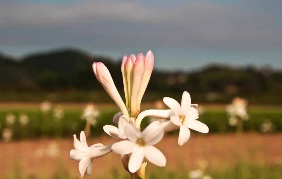 自律这个词，我一向不是很喜爱