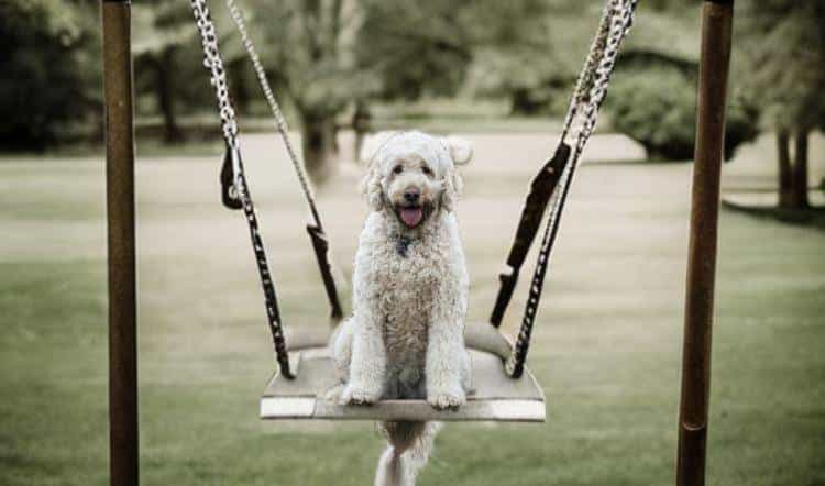 Inpaint Anything 修复图像、视频和3D 场景中的任何内容！开源!