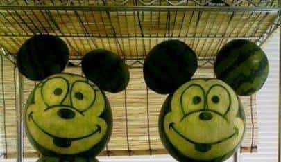 今日夏至，快跟随小武一起寻找“解暑神器”~~