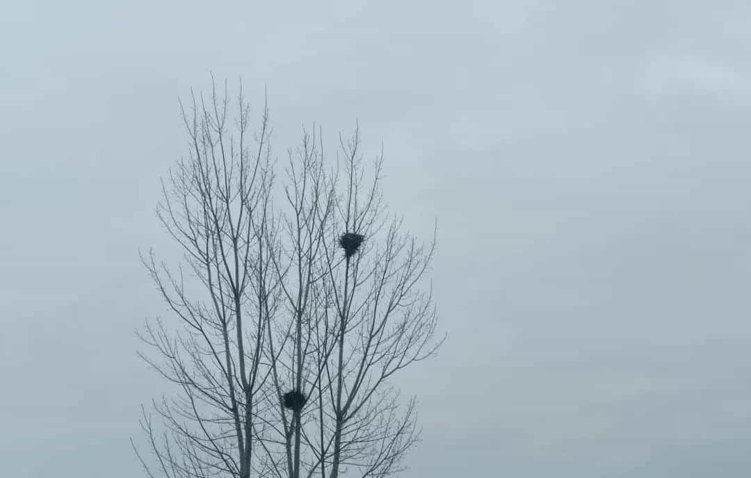 【陕西】吴清西：说解《说文解字》中的渭南方言词语（十二）